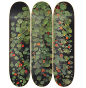 Variación Capuchinas I - Denise Buckel - obra de Denise Buckel en skate decorativo vista 2