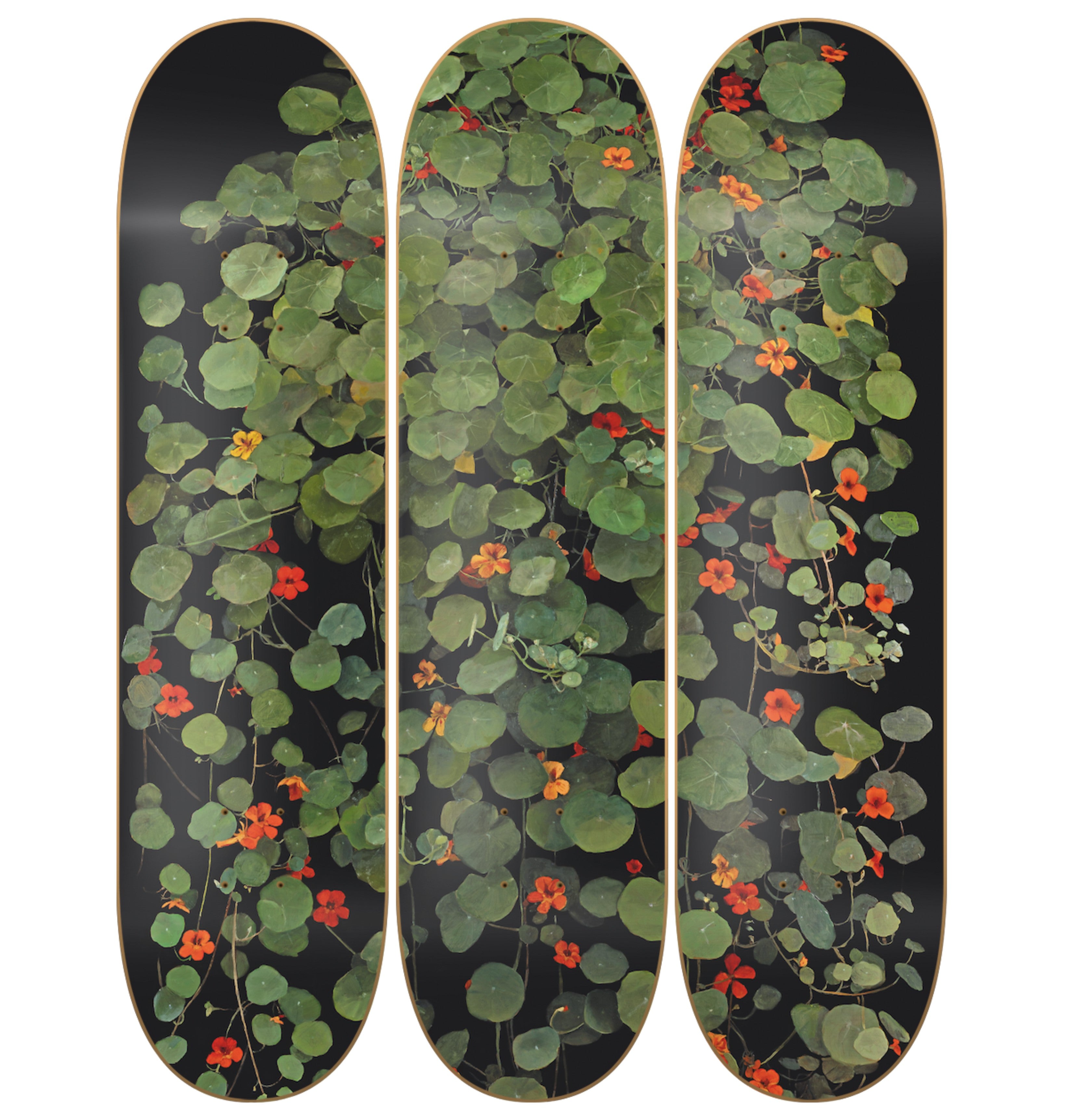 Variación Capuchinas I - Denise Buckel - obra de Denise Buckel en skate decorativo vista 2