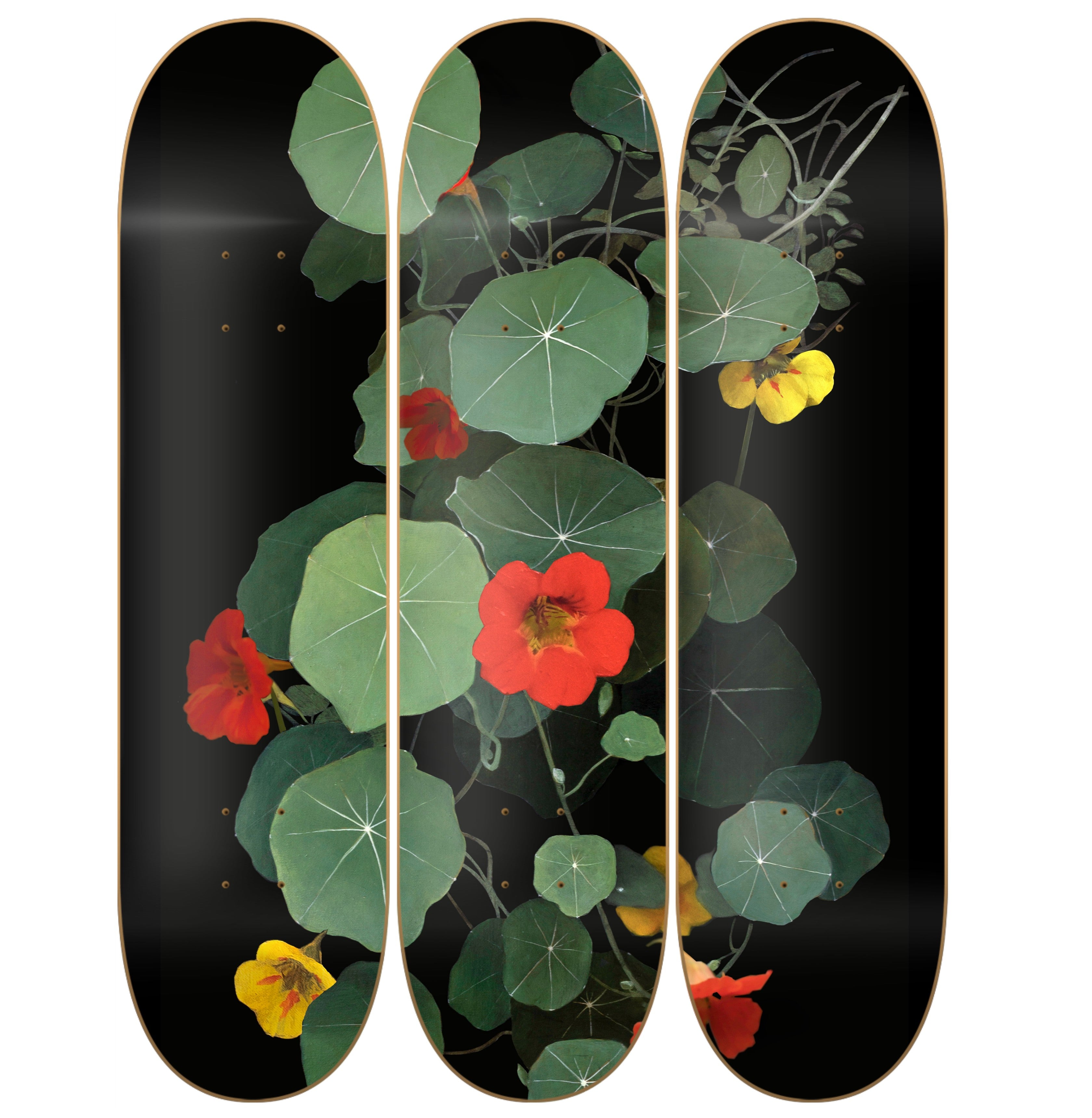 Variación Capuchinas IV - Denise Buckel