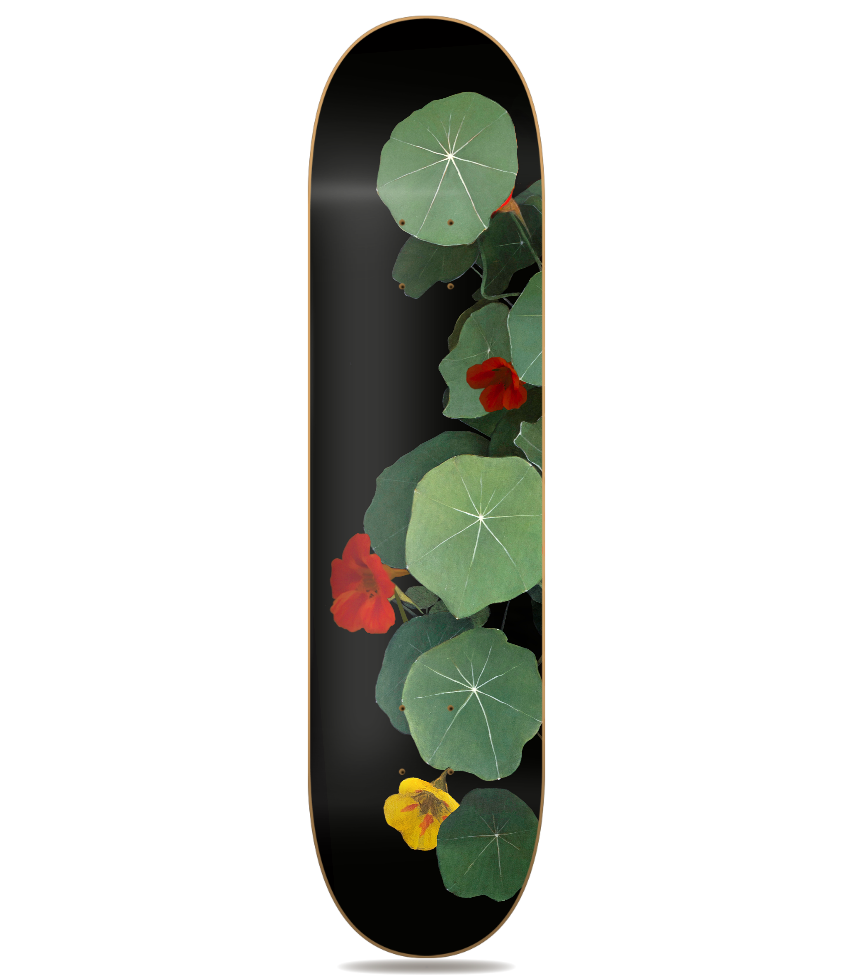 Variación Capuchinas IVa - Denise Buckel