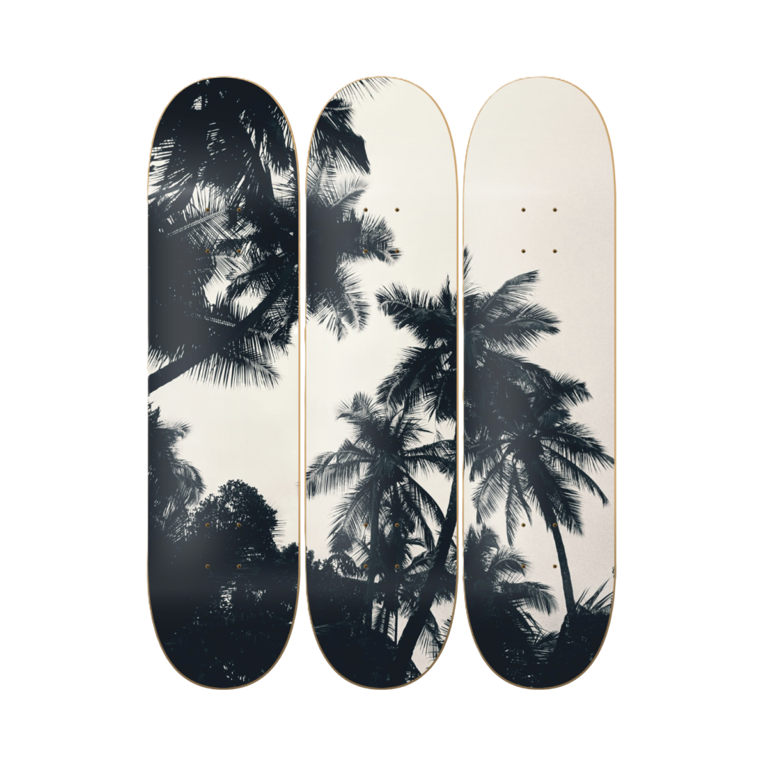 BW - skate decorativo paisaje de pared vista 2