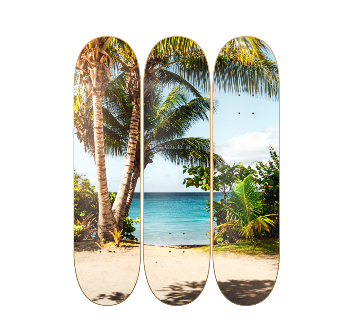 Costa Rica - tropical en tabla de skate decorativa vista 2