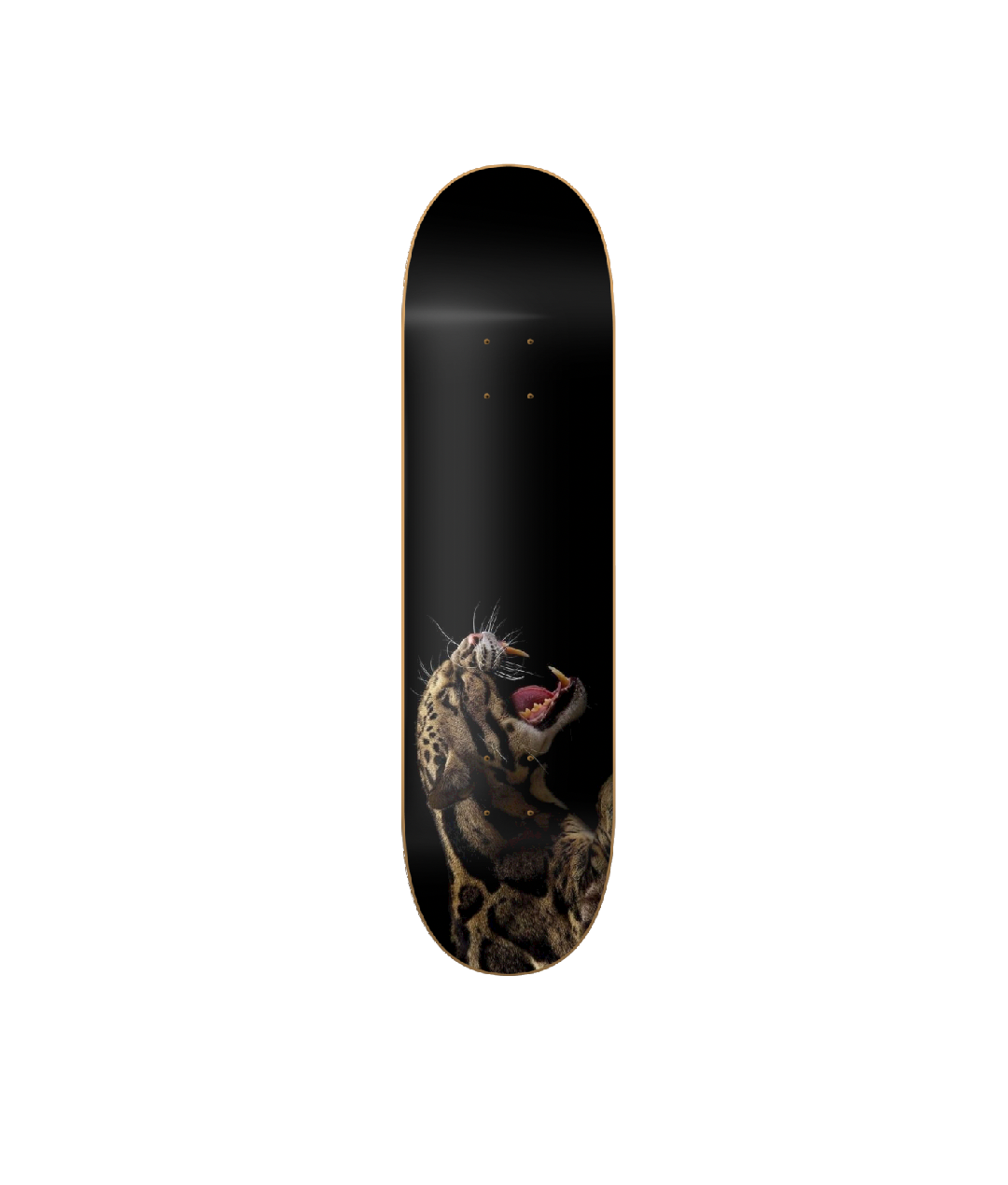 Gepard - skate decorativo animales de pared vista 2