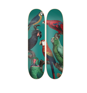Parrots - skate decorativo animales de pared vista 2