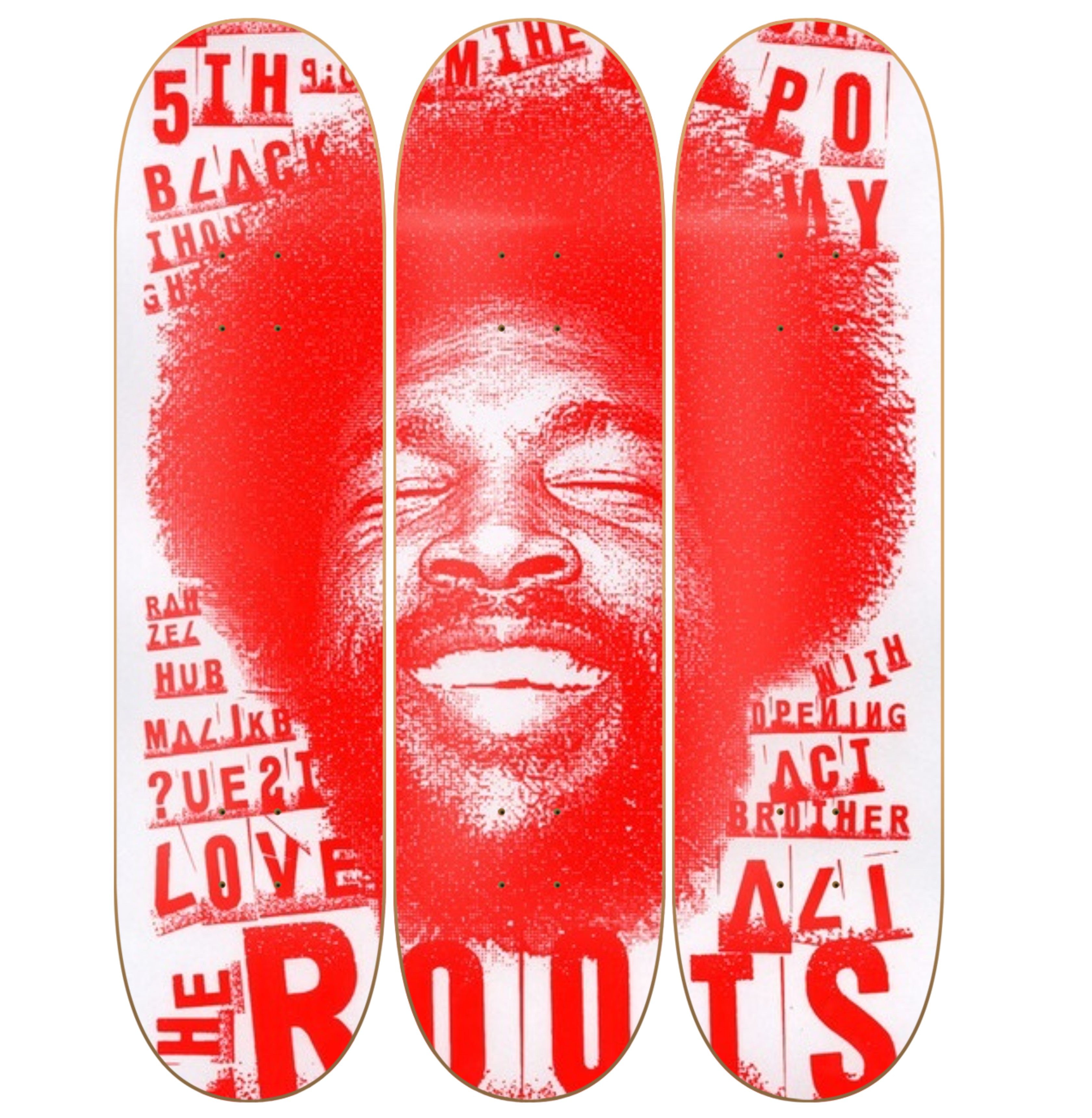 Roots - skate decorativo diseño de pared vista 2