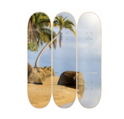 Rock Palm - skate decorativo paisaje de pared vista 2