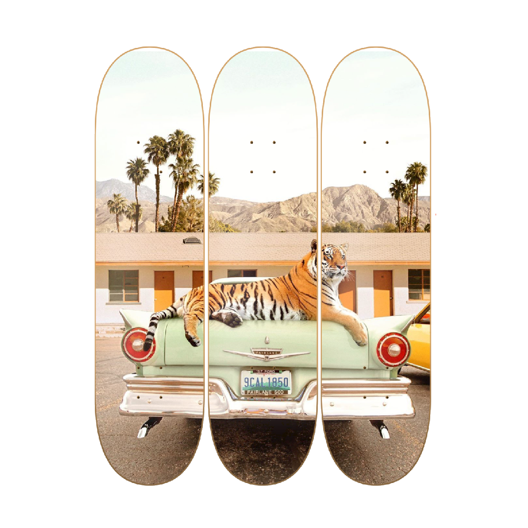 Tiger Cali - skate decorativo ilustrado de pared